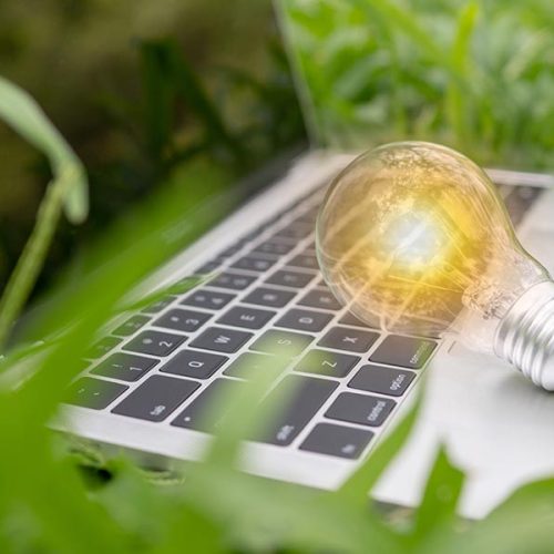 Choosing the Right Solar Panel System for Your Home or Business